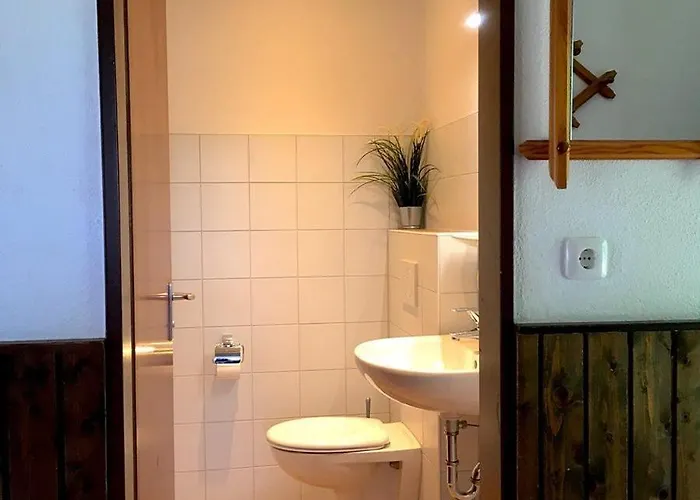 Wieselweg Im Reichenbach 14 * نيسيلفانج